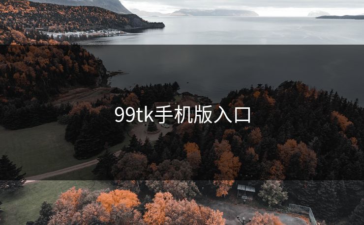 99tk手机版入口 99tk手机版入口
