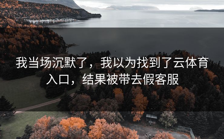 我当场沉默了，我以为找到了云体育入口，结果被带去假客服