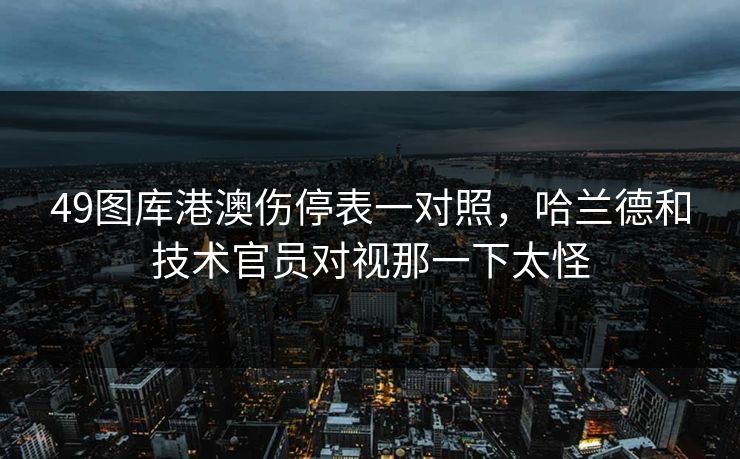 49图库港澳伤停表一对照，哈兰德和技术官员对视那一下太怪
