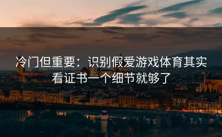 冷门但重要：识别假爱游戏体育其实看证书一个细节就够了